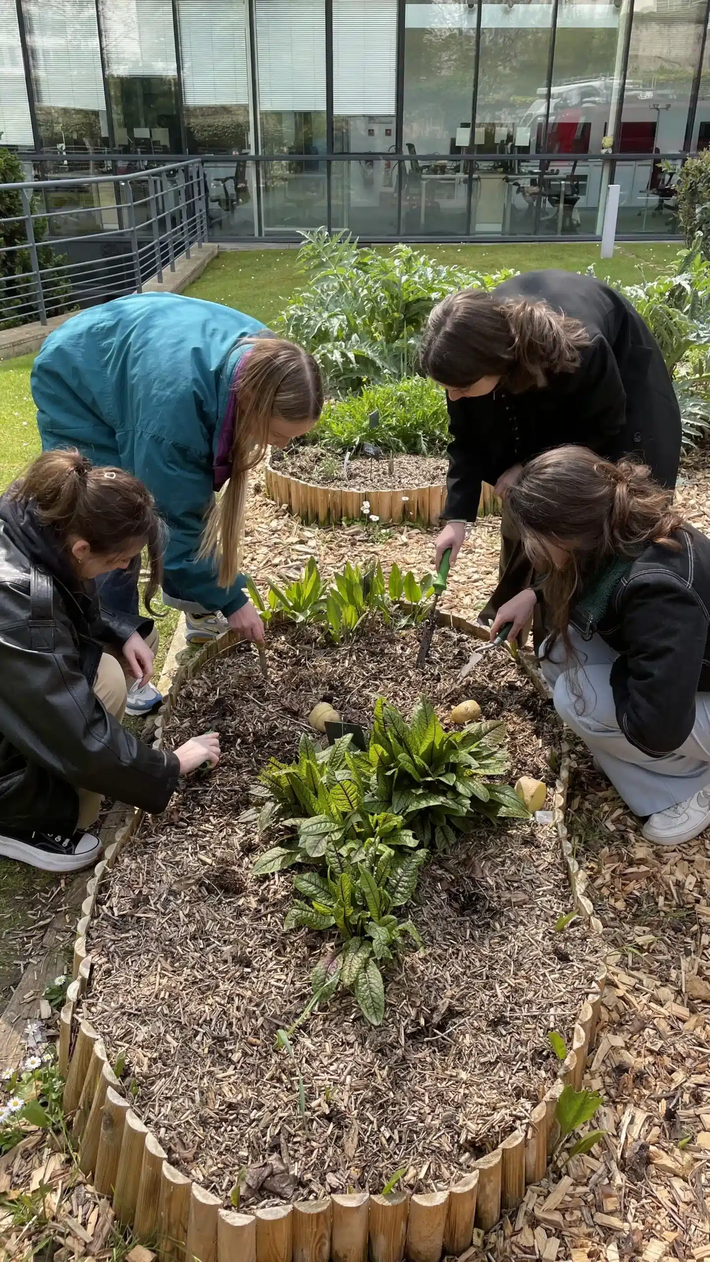 Jardinage au potager du Groupe M6