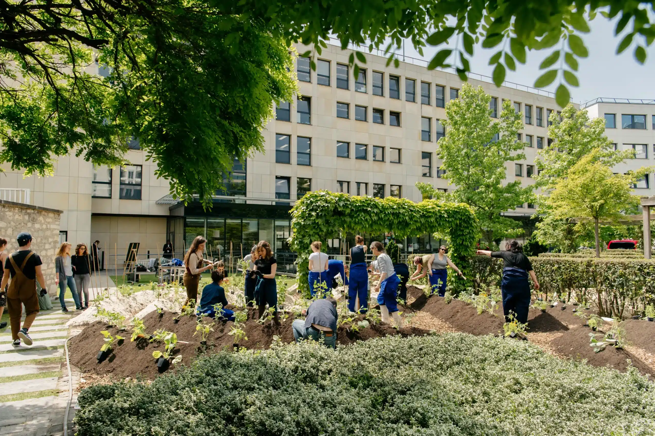 Vue du potager d'entreprise du Groupe M6 avec des collaborateur jardinant