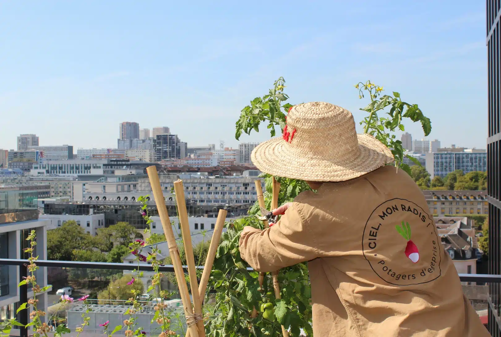 Agnès, animatrice-jardinière, entretient un potager sur une terrasse.