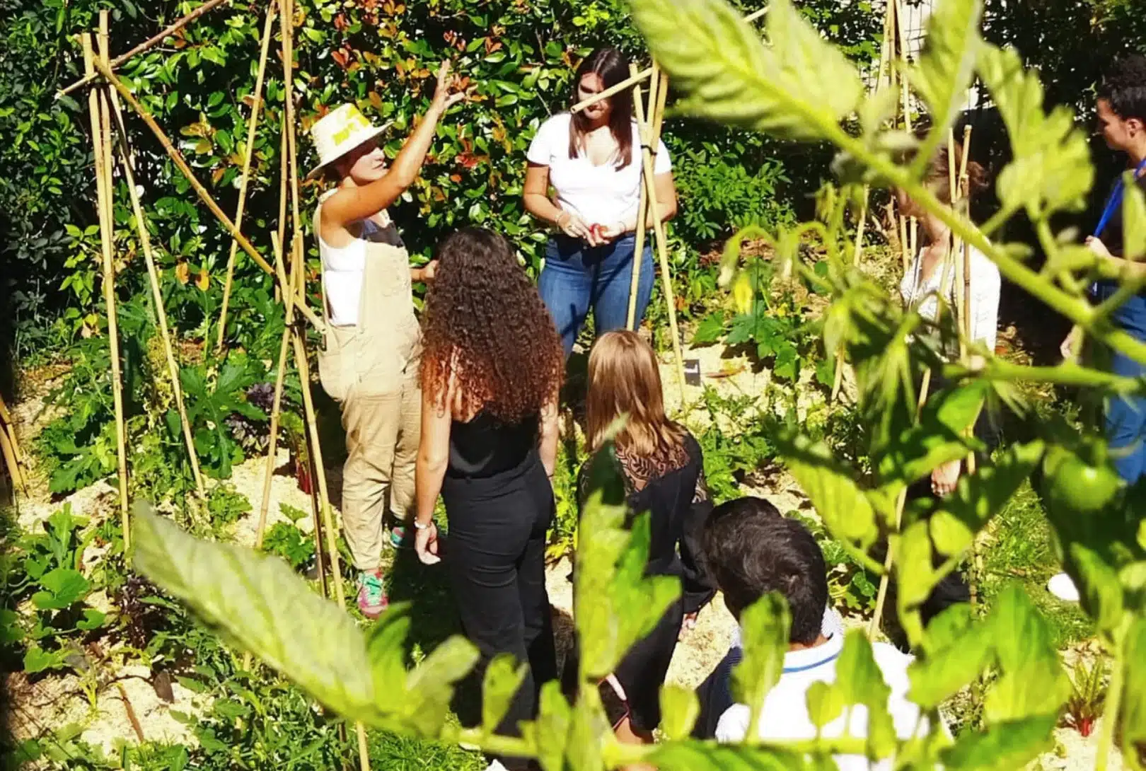 Camille, animatrice-jardinière, anime un atelier au potager