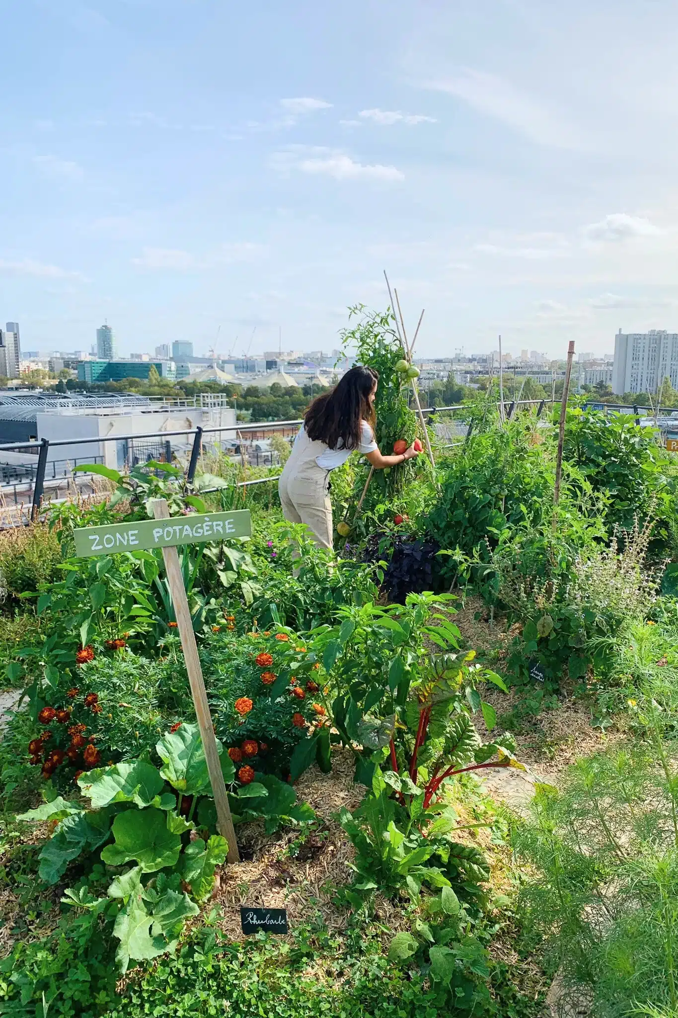 Entretien du potager Canal+