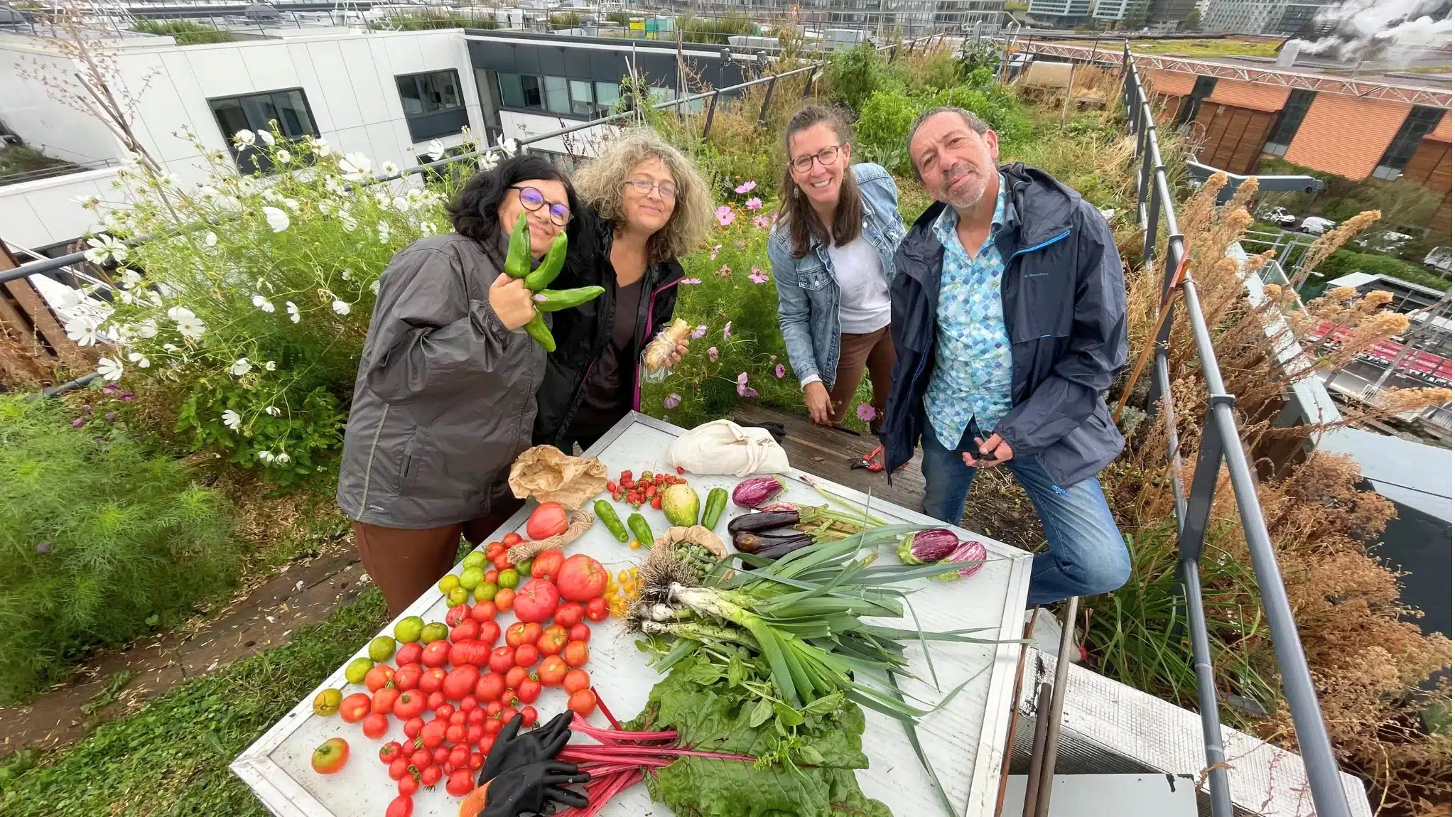 Collaborateurs au potager sur le toit du siège de Canal+ avec les récoltes du jour