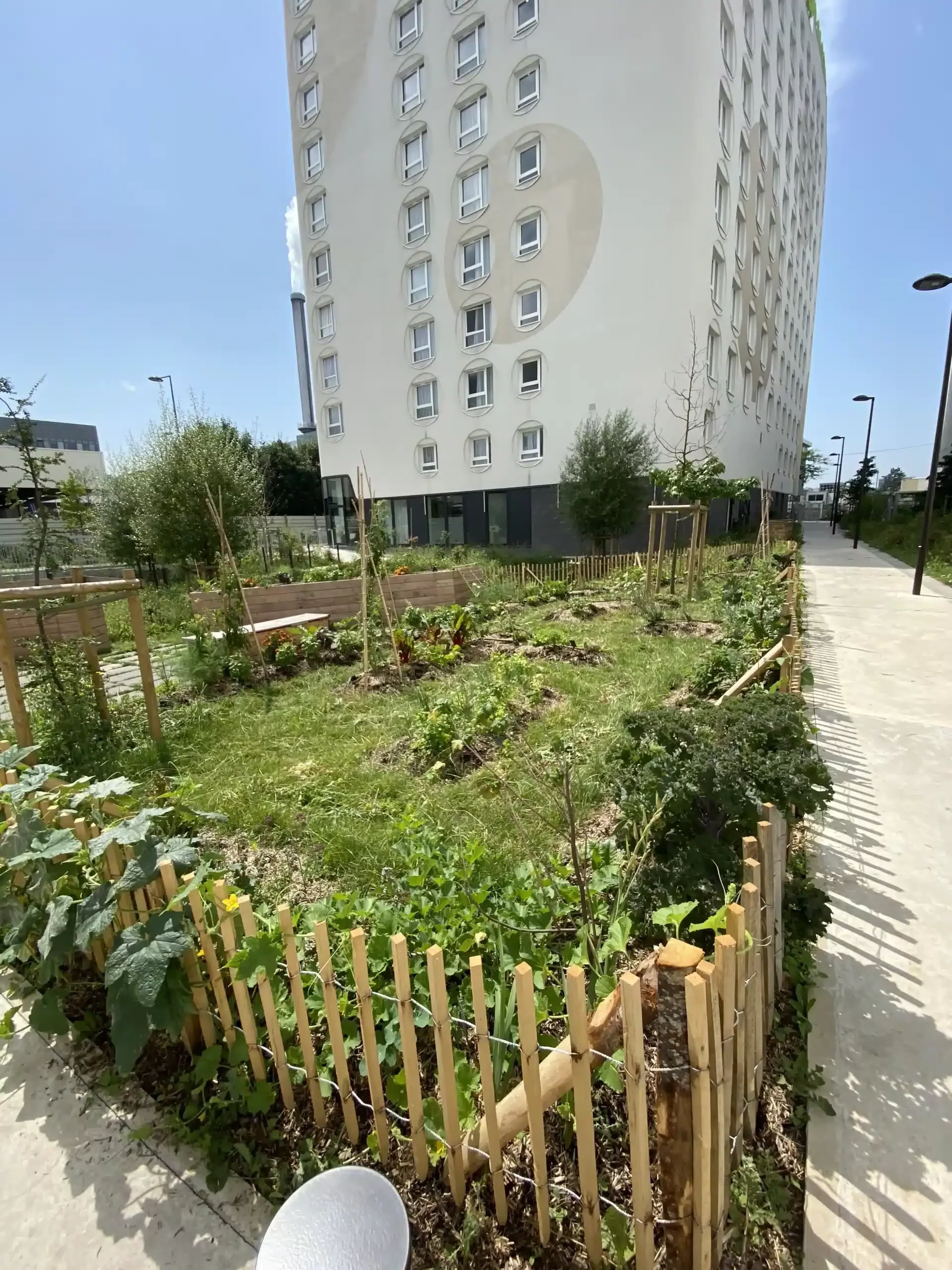 Potager résidence intergénérationnelle (seniors & étudiants)