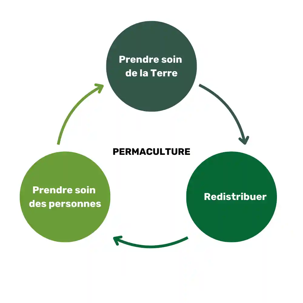 permaculture cercle