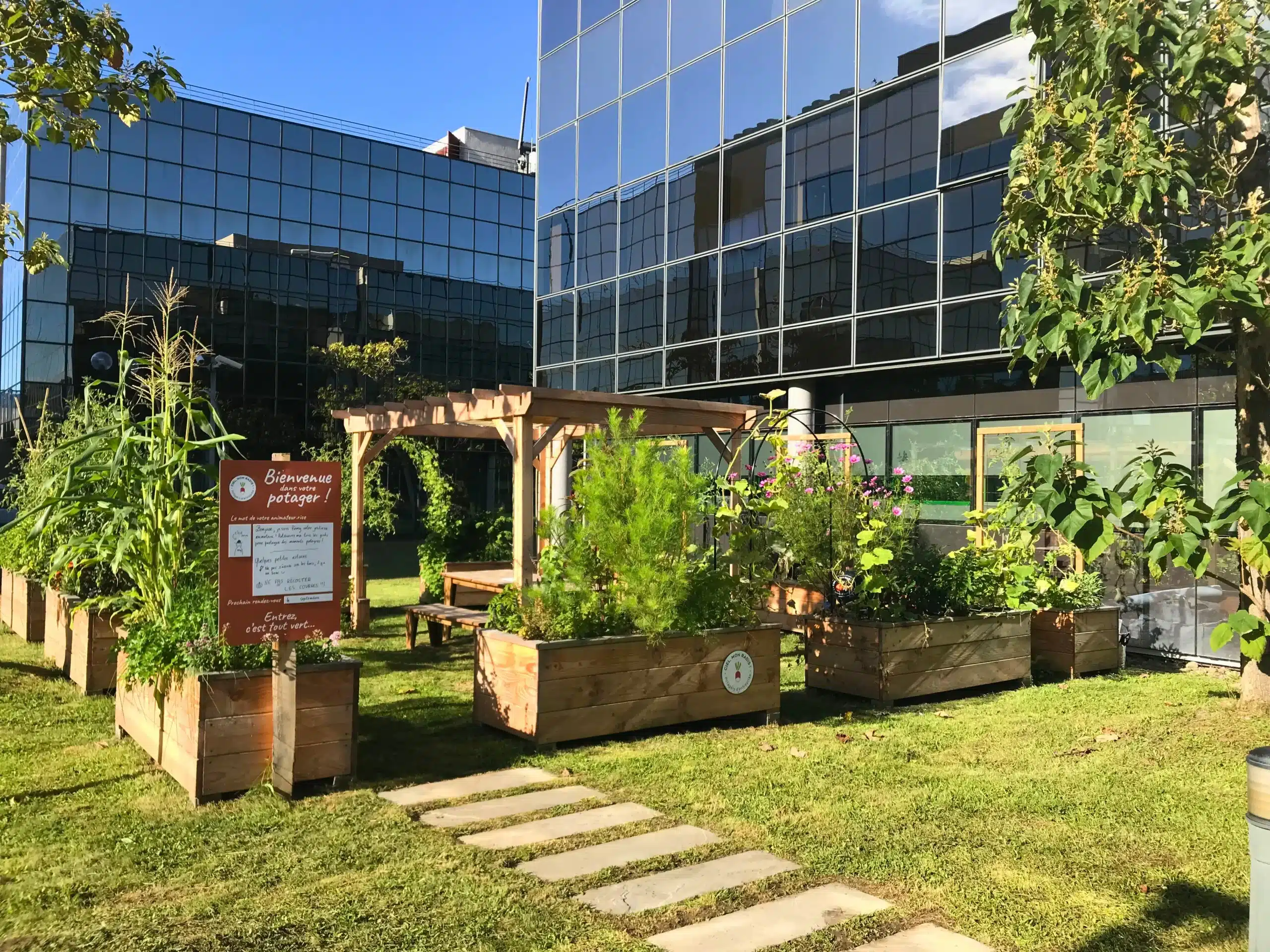 Le potager participatif sous forme d'îlot immersif